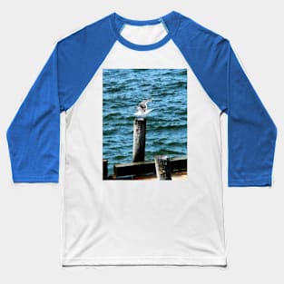 Seagulls - Seagull Landing Baseball T-Shirt